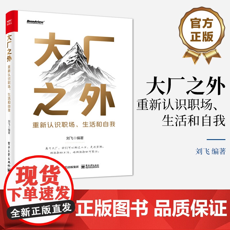 店 大厂之外 重新认识职场 生活和自我 突破大厂思维的局限 认知视角 思维模式和生活态度 个人成长和职业发展书 刘飞