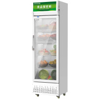 圣托(Shentop)食品留样柜商用 蔬菜水果冷藏柜冰箱 单门展示柜学校幼儿园食堂保鲜柜 STLW-LY280