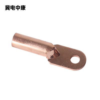 冀电中康 接线端子 DT-10 个