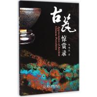 正版新书]古瓷惊赏录陈鸿光9787110087367