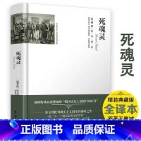 死魂灵(精装) [正版]忏悔录 卢梭著 精装两册全译本 文学巨作原著中文版世界名著书籍 小说原版无删减初中高中生成人青少