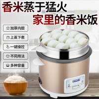 [补贴10%]家用电饭煲3-4人老式迷你小型1-2人5l升学生宿舍智能蒸米饭锅柴火