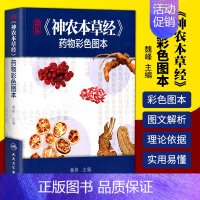[正版]精编神农本草经药物彩色图本 人卫自学中医入门医学类原版图解图鉴本草纲目伤寒论黄帝内经杂病原著中药材中药书中草药书