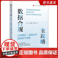 数据合规全攻略:法规解析 实践应用 数据资产探索 王岩飞等 力求法规解读与实务经验并重 企业法律顾问律师合规师实务书