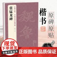 经典全集 《张猛龙碑》中国历代碑帖精粹译文简体注释北魏楷书毛笔字帖书法成人学生临摹帖练古帖练字中国美院出版社 杨建飞