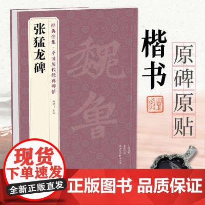 经典全集 《张猛龙碑》中国历代碑帖精粹译文简体注释北魏楷书毛笔字帖书法成人学生临摹帖练古帖练字中国美院出版社 杨建飞