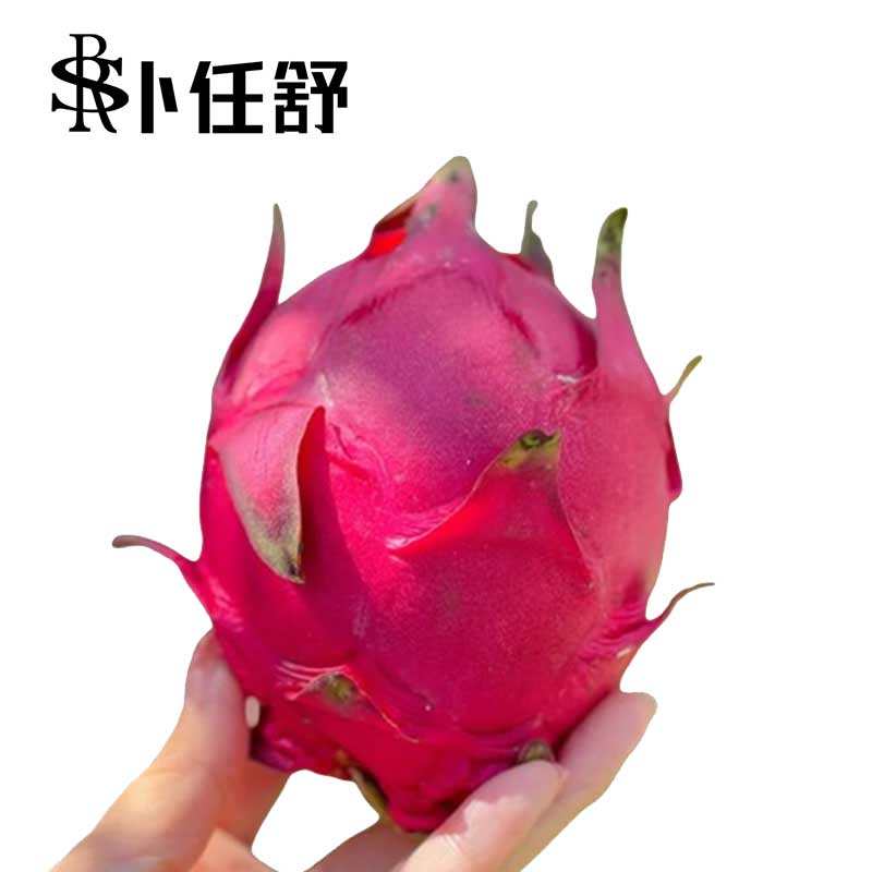 卜任舒 国产红心火龙果约2.5kg(包装随机发货)