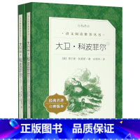 大卫·科波菲尔(上下2册) [正版]稻草人(经典名著口碑版本) 中小学语文教科书配套同步阅读书系 语文阅读丛书 三年级上