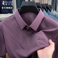 啄木鸟夏季2025新款薄款男士短袖t恤冰丝大码爸爸翻领POLO衫男装C