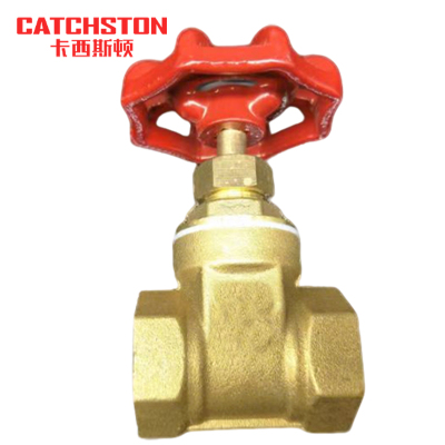 卡西斯顿 黄铜闸阀 DN65 2.5寸 个