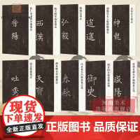 新出隋唐碑志精编10本 隋大将军杨素墓志/颜勤礼夫人殷懿姬墓志/颜真卿书李梗墓志等楷书书法学习者临摹和欣赏范本河南美术出