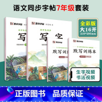[语文临摹套装]七年级上册+下册(送默写训练本) 七年级/初中一年级 [正版]七年级上册语文字帖练字小学生硬笔书法字帖一