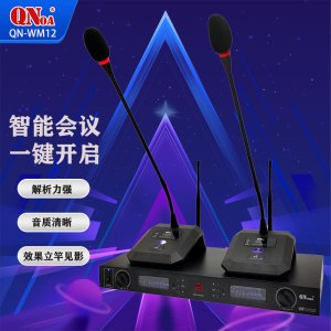 QNOA 启诺QN-SWM12 无线一拖二会议鹅颈话筒 工程会议桌面电容麦克风 黑色