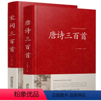 [正版]全2册唐诗宋词三百首全集精装中国古诗词大全集鉴赏赏析辞典唐诗300首小学生初中生国学经典书籍诗词大全中华书局古