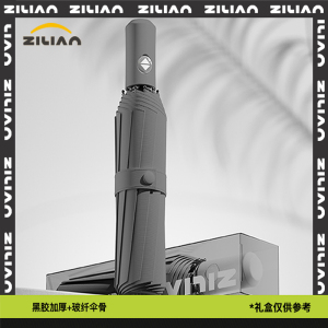 自动伞029