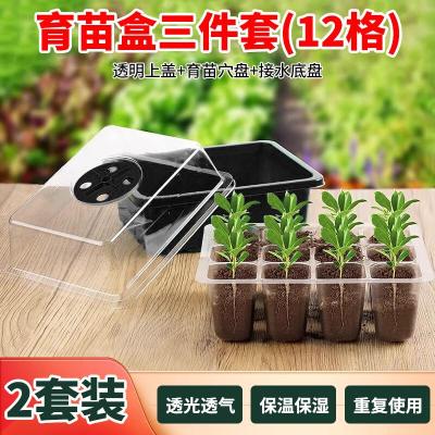 芷郁家用带盖育苗穴盘育苗神器盆营养杯塑料长方形托盘扦插芽菜盒 2套