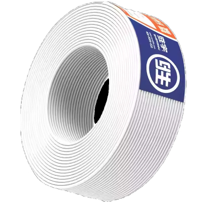 胜宇 ZC-BVVB护套扁平平行线家装硬线 2*1mm2-白色-100米