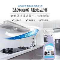 绿色溪谷桉素嘉洁多功能油污净清洁剂油烟厨房强力油烟机泡沫去污清洗剂