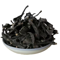 福建霞浦[新货]海带头干货厚实软糯海带根特厚海带梗