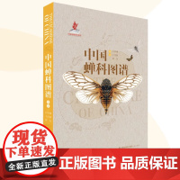 [6岁+]中国蝉科图谱 青少年科普图鉴鉴赏收藏书 附赠蝉鸣声音音频
