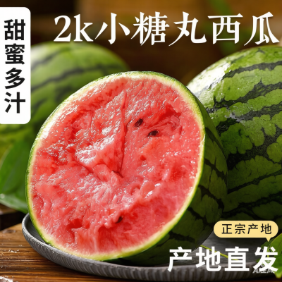 [熊猫鸟]山东小糖丸2K西瓜 6-6.5斤 2个装