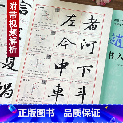 赵体行书入门视频教程 [正版]赵体行书入门教程王丙申 扫码看视频 赵孟頫基础训练书基本笔画偏旁部首字体结构逐笔逐字分析讲
