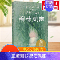 柳林风声 [正版]爱丽丝漫游奇境中文分级阅读五年级6-12岁小学生常读课外书籍二三四五六年级课外书常读经典书目儿童文学读