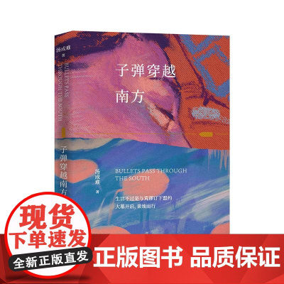 子弹穿越南方 上海文艺出版社