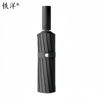 铁洋 黑色48骨全自动雨伞 TY-YS002 把