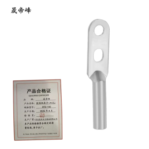 晟帝峰 镀锡铜鼻子(双孔) DTS-150 个