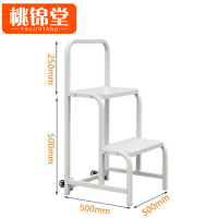 桃锦堂移动梯