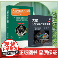 套装 2本一套 犬猫马超声心动图 第2版 犬猫X线与超声诊断技术 第5版 9787570634996 97875723