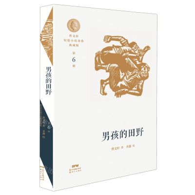 [N]男孩的田野/曹文轩短篇小说金卷典藏版-9787558324550