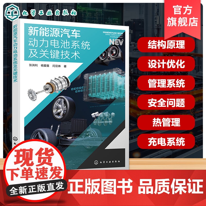 新能源汽车动力电池系统及关键技术 张洪利 杨爱喜 闫亚琳 电池材料选择 性能优化 电池管理 系统设计 控制策略 热管理