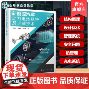新能源汽车动力电池系统及关键技术 张洪利 杨爱喜 闫亚琳 电池材料选择 性能优化 电池管理 系统设计 控制策略 热管理