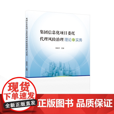 集团信息化项目委托代理风险治理理论与实务