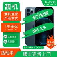 [99新]Apple iPhone 12ProMax 海蓝色 256GB 二手苹果12PM 全网通5G 国行正品 手机