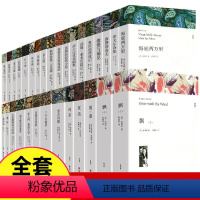 全套30册 [正版]全30册 世界三十大名著书籍全套原著无删减 外国经典文学