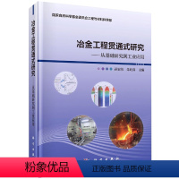 [正版]书冶金工程贯通式研究——从基础研究到工业应用 孙宏伟 朱旺喜 编 冶金、地质 专业科技 书籍kx