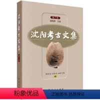 [正版]书籍 沈阳考古文集(第7集)赵晓刚主编沈阳市文物考古研究所编考古调查发掘报告简报学术论文考古发掘历史文物保护科