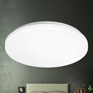 苏宁放心购 卧室灯LED客厅吸顶灯具阳台灯饰 12W 适用6-10平米 简约纯白2020新款 默认颜色