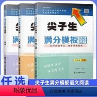 满分模版 语文阅读 [七年级上] 初中通用 [正版]2023秋尖子生满分模板语文阅读七八九789年级阅读理解答题模板答题