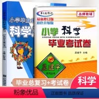 推荐2本[科学总复习+毕业考试卷] 小学通用 [正版]2024小学毕业班科学总复习知识梳理大全教科版六6年级小考科学必刷