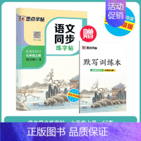 [初中生][语文同步]7年级上册 [正版]初中生练字帖古诗文文言文正楷字帖荆霄鹏楷书初中八年级七年级下册字帖阅读理解写字