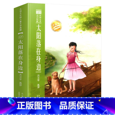 太阳落在身边 [正版]大语文中国儿童文学典藏 和童年散步/会飞的孩子/开在时间里的花/太阳落在身边/寻找自己的天空/在书