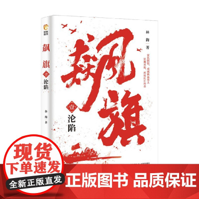 飙旗1 沦陷 林海 著 小说