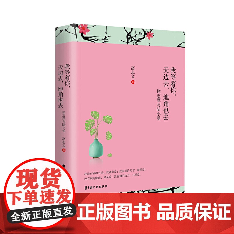 我等着你,天边去,地角也去:徐志摩与陆小曼(民国经典情侣系列) 高志文 中国文史出版社 正版书籍