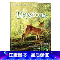 新东方小学英语精讲精练:六年级春 小学六年级 [正版]新东方新东方小学英语精讲精练:六年级春(学生用书+练习册+参考答案