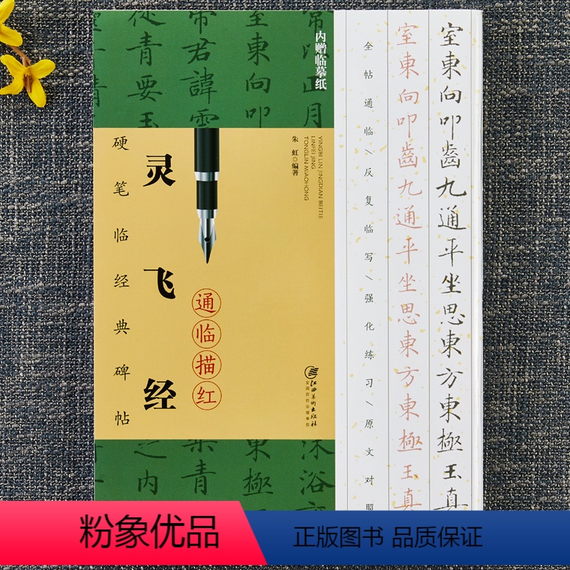 [正版]灵飞经通临描红 硬笔临经典碑帖 内赠临摹纸 硬笔钢笔小楷临摹字帖 技法讲解楷书 书法学习硬笔临古帖书籍 江西美