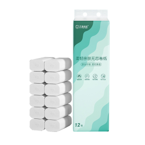 艾逸瑶选 柔韧亲肤无芯卷纸12卷800克 5层/节 AYYX800-12